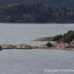 Ljungskile-TKH2016-22