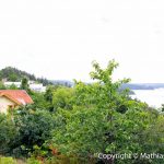Ljungskile-TKH2016-46