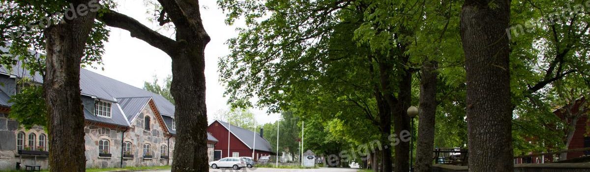 Baldersnäs i juni 2017