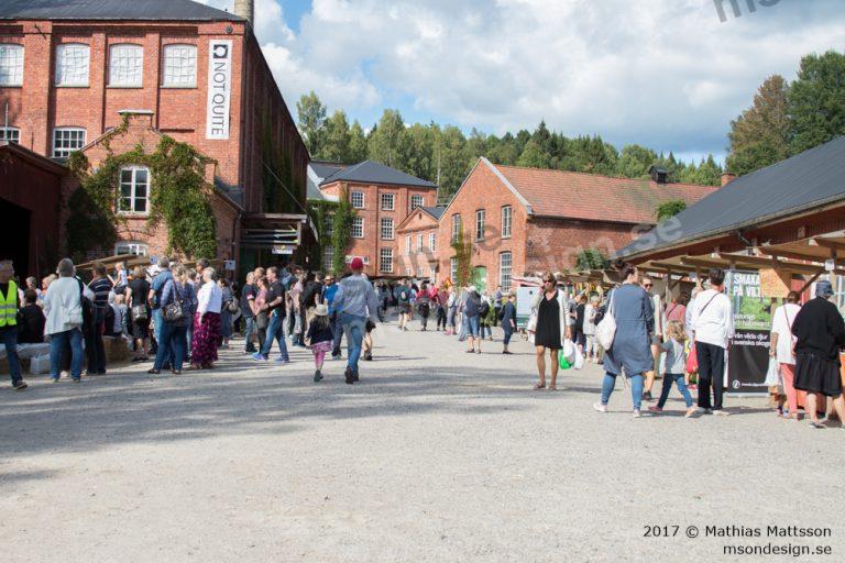 Glupskpadalsland2017-16