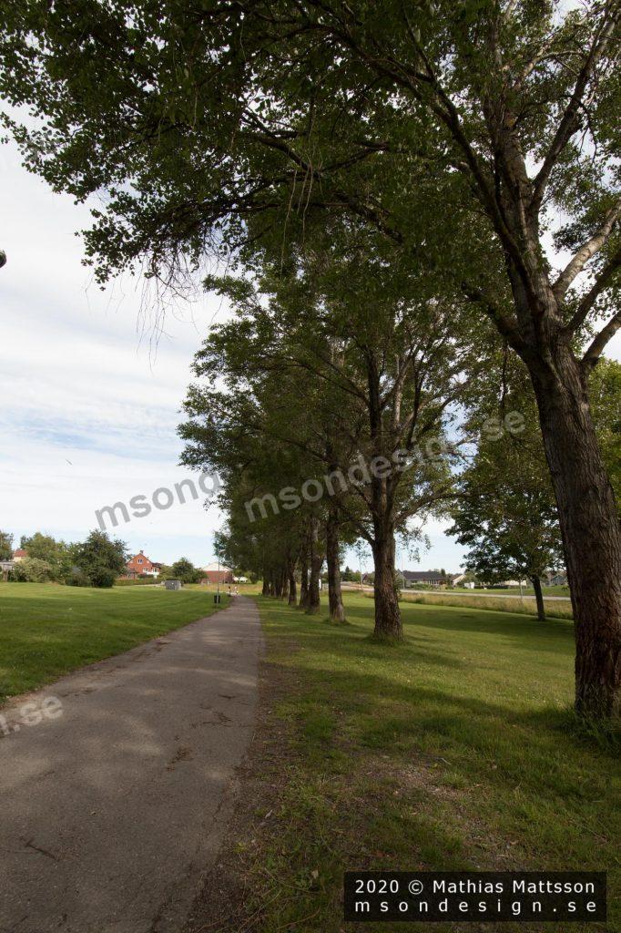 Byggnation_Åmål_Willys_17072020_05